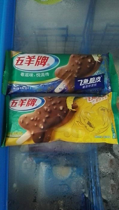 飛魚脆皮